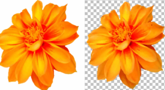 Background Removal Per Image