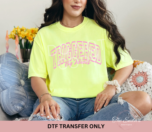 Triggered By Idiots DTF Transfer