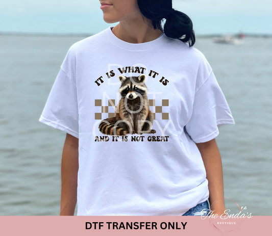 It Is What It Is And It Is Not Great DTF Transfer